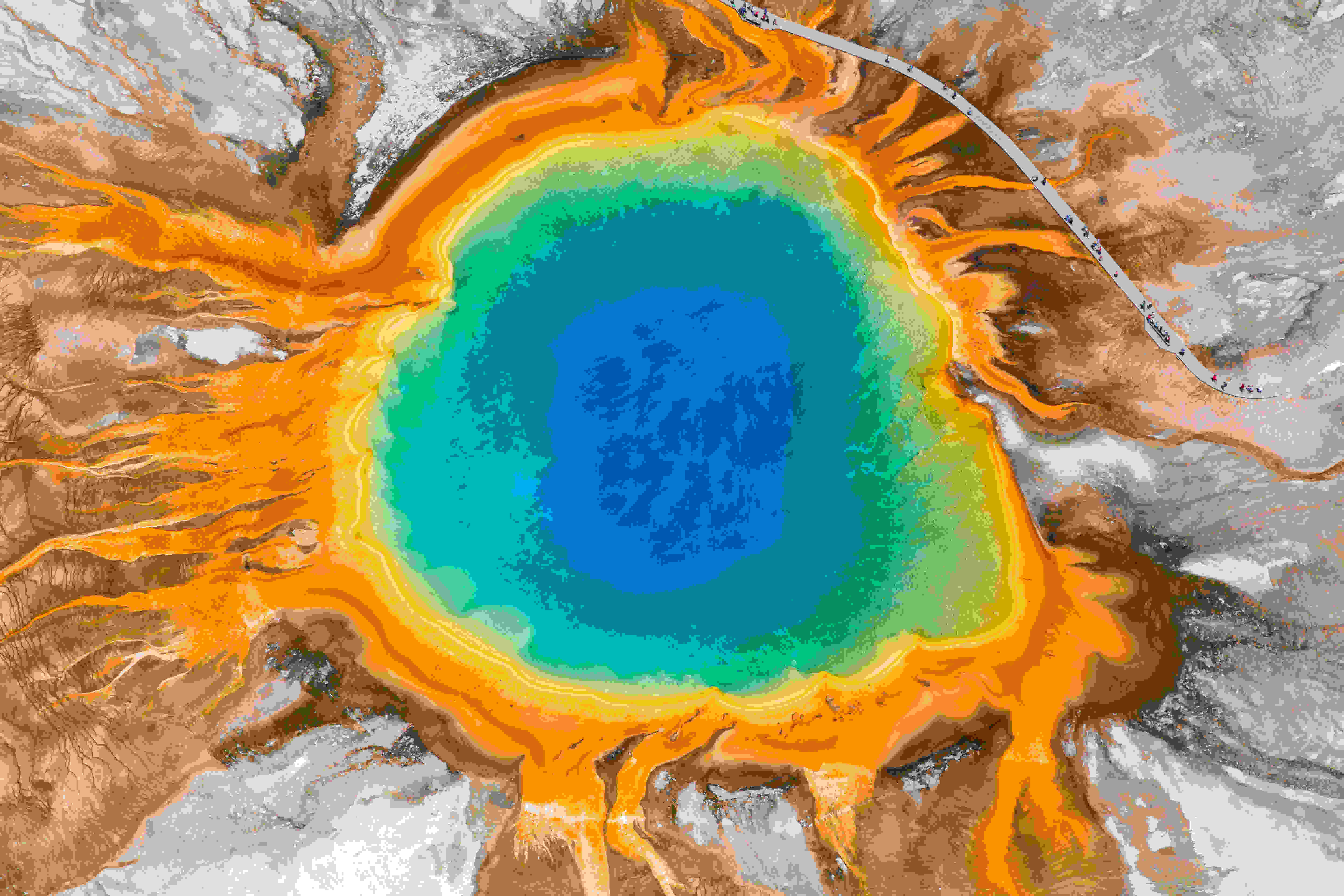 Yellowstone National Park Tour